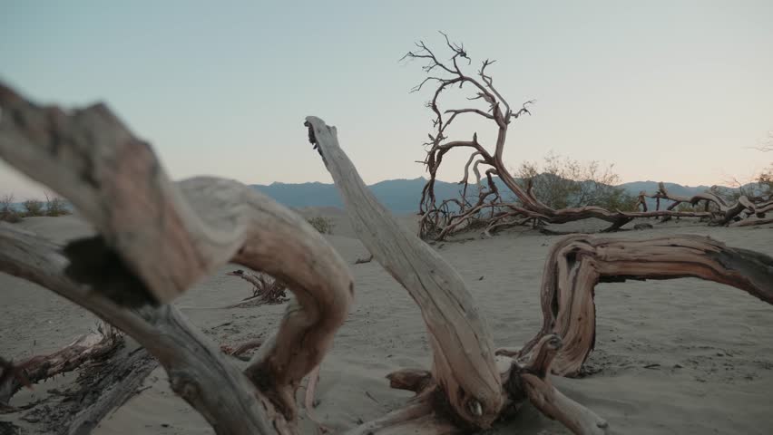 Mesquite Flat Sand Dunes in Death valley National Park in the morning
