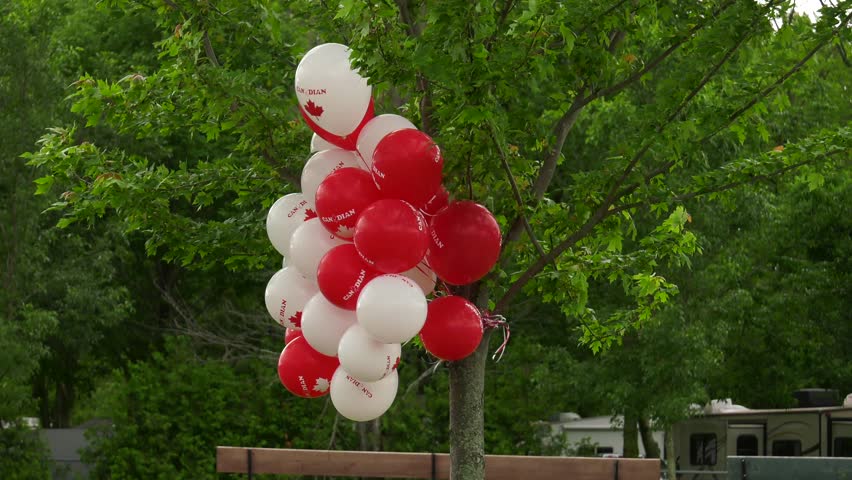 canada day 150th bday balloons in wind medium wide