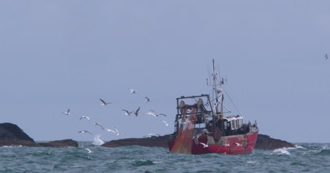 Seagulls gather over red fishing trawler near coastal rocks. Slow motion