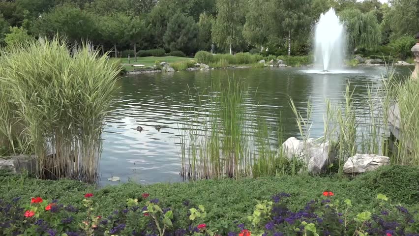 Water fountain in the lake, Mezhyhirye Park, Kiev, Ukraine - August 2017