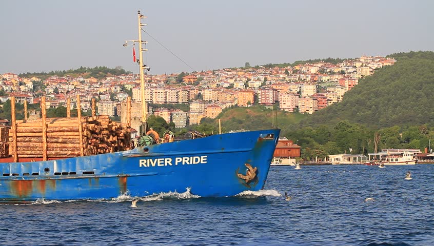 ISTANBUL - JULY 5: Cargo ship RIVER PRIDE (IMO: 8861034, Belize) on July 5, 2012