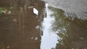 Paper boat floating in a puddle.