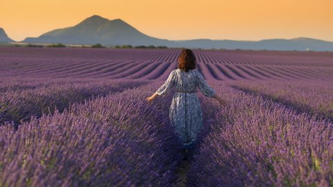 Woman in summer dress walks through the field of lavender.  Provence, France
