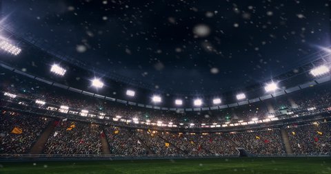 Sport stadium with full of spectators. The stadium was made in 3d without using existing references. The crowd and light on the stadium are animated.