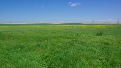 belorussian landscape blue cloudy sky and green  field