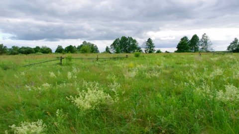 belorussian landscape blue cloudy sky and green  field