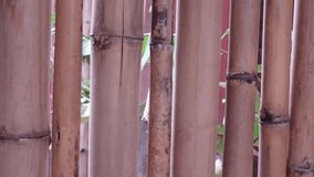 Bamboo wall closeup