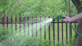 High quality video of senior man watering vegetable garden in real 1080p slow motion 250fps