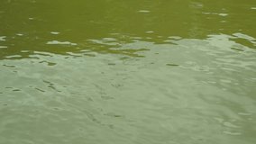 Slow motion of water surface reflection closeup blur background