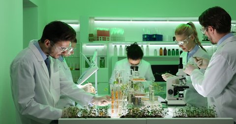 Team of Researchers in Biochemistry Lab Collaborate Work Plants Seeds Laboratory