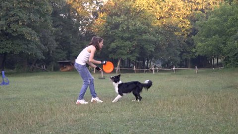 A dog border collie is doing a somersault in the air catching an orange frisbee that the coach trainer standing in the middle of a green lawn threw in the summer
