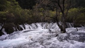 amazing world natural heritage Shuzheng Waterfall with celar water and fresh in Jiuzhaigou Sichuan, China