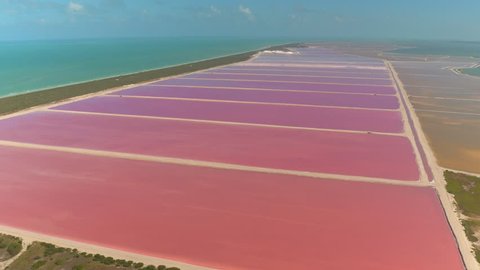 AERIAL Flying above the Gulf of Mexico along the picturesque seashore overlooking the magnificent pinky salt ponds on one side and stunning turquoise ocean on the other. Las Coloradas colorful lagoons