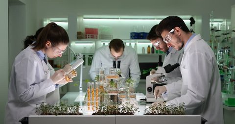 Big Team of Researchers Working Laboratory Genetically Modified Plants and Seeds