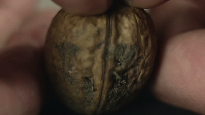 Human splitting walnut in two parts