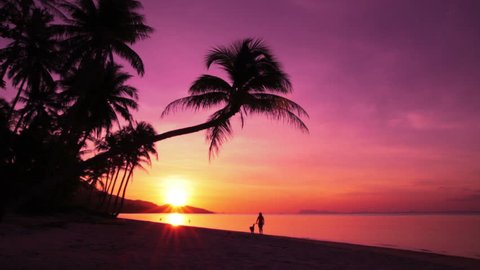 Tropical sunset with palm trees silhouette at beach, woman walking with dog along the shore