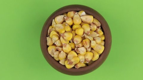 Zoom of a clay pot filled with corn grain. Isolated green screen.