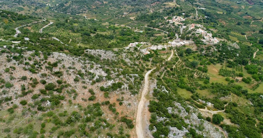 View of the geen olive trees and roads from a bird's eye view.