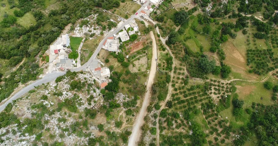 View of the geen olive trees, houses and roads from a bird's eye view.
