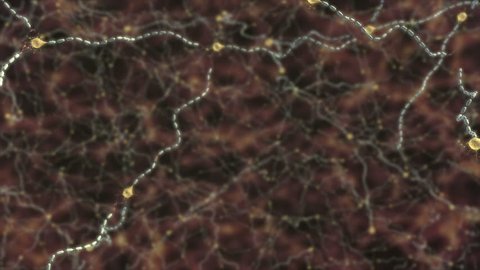 Video of damage to myelin sheath caused by multiple sclerosis, close up of inflammation on one neuron and action potential disruption of conduction due to the scarring