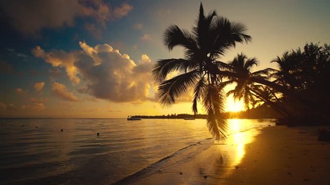 Sea Sunrise Punta Cana, Dominican Republic. Palm trees on sandy beach.