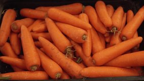 Fresh washed carrots sold in the supermarket stock footage video