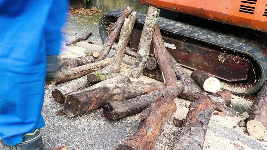 A man collects wood.