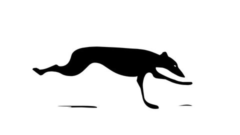 Running greyhound, seamless loop cartoon animation  