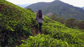 Young Woman Walking Through Tea Plantations 4K