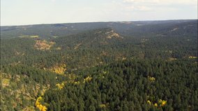 Flight Over Autumn Colours Black Hills National Forest
