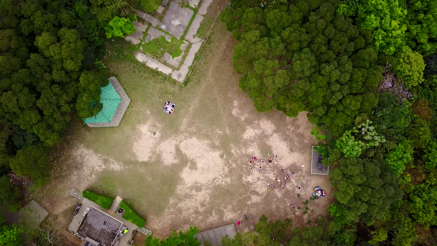 Clearing at forested area from height, group of children outing at picnic site. Former military structure location, Pinewood battery historical site, converted to public country park.