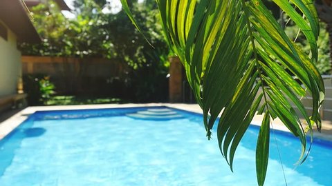 Palm leaf in front of the swimming pool on a tropical resort in slow motion. 1920x1080