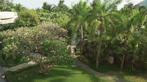 Sanya, China - April 03, 2017: Beautiful tropical garden on site Resort Intime Sanya 5 in Dadonghai bay stock footage video