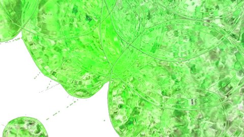 Large drops of sweet green liquid fall on the white surface and stain, leaving large blots and making large splashes and blots. Shot in slow motion with alpha channel as luma matte. Ver8