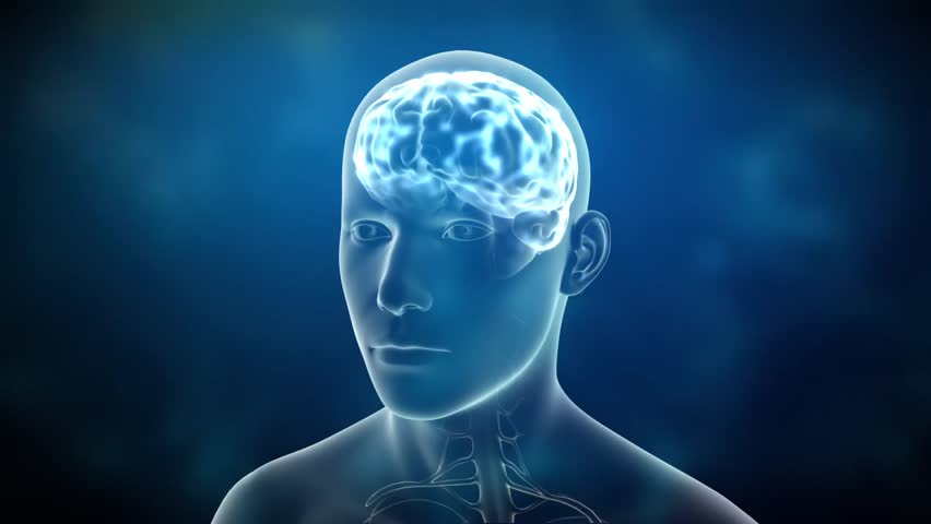 Neuronal Activity Male Blue
Conceptual animation showing neuronal activity in the human brain. Royalty-Free Stock Footage #2962033