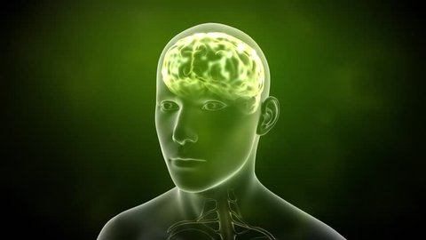 Neuronal Activity Male Green
Conceptual animation showing neuronal activity in the human brain.