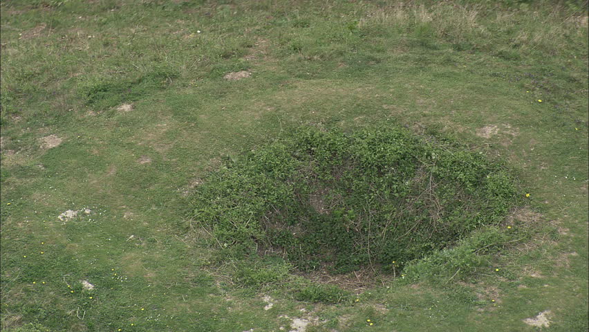 Bartlow Hills Tumuli