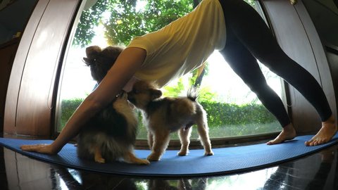 Young Woman Working Out At Home Doing Yoga With Her Pet Dogs. HD, 1920x1080. 