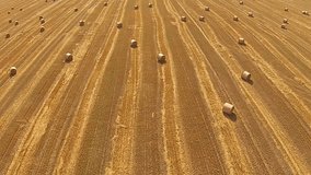 Bird's eye view on a field with stacked bales of wheat