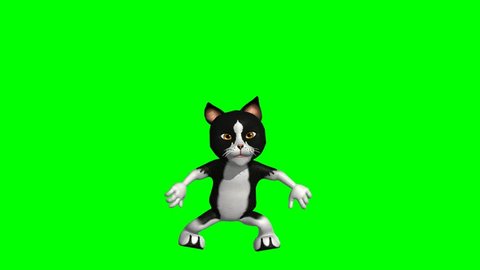 Dancing Cat Original Video Green Screen