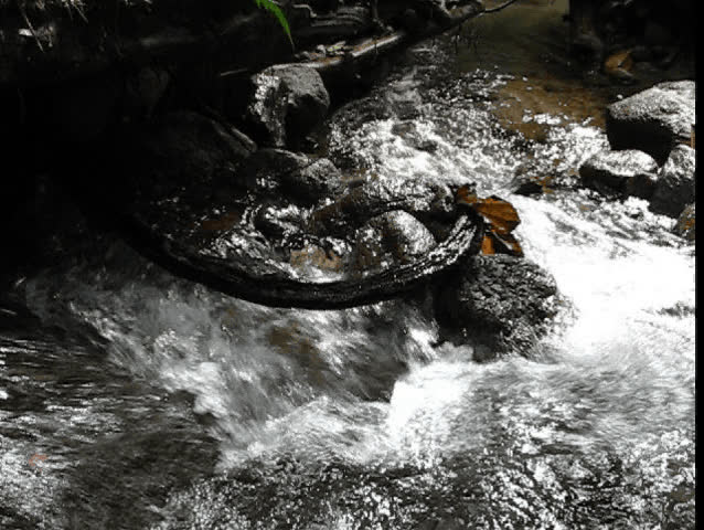 Creek