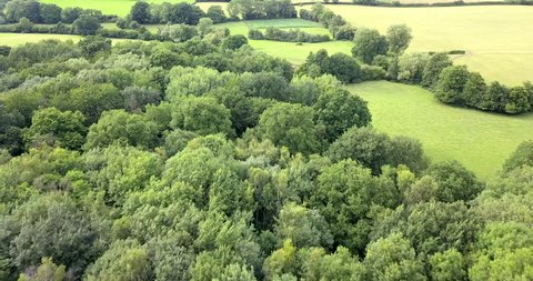 4K aerial drone footage flyover deciduous forest