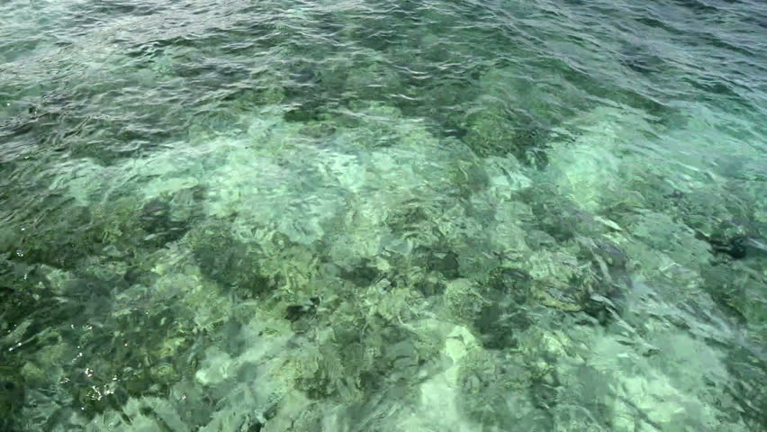 Reflection of clean sea water | Shutterstock HD Video #2969173