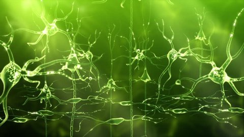 Neuronal Activity Zoom Green
Conceptual animation showing neuronal activity in the human brain.