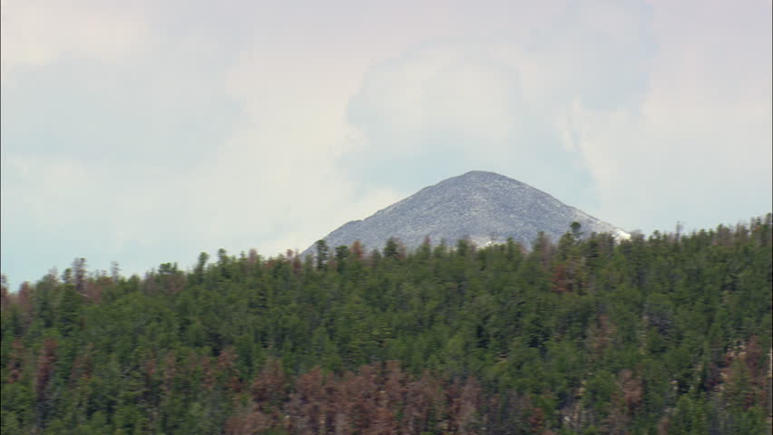 Beaverhead Deerlodge National Forest And Torrey Mountain