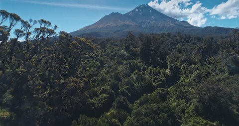 AERIAL: flying over native forest on Mt Taranaki / Mt Egmont, New Zealand