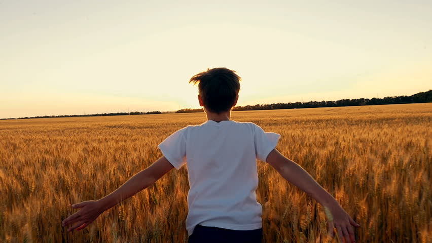 Little girl running cross the wheat field at sunset.Slow motion