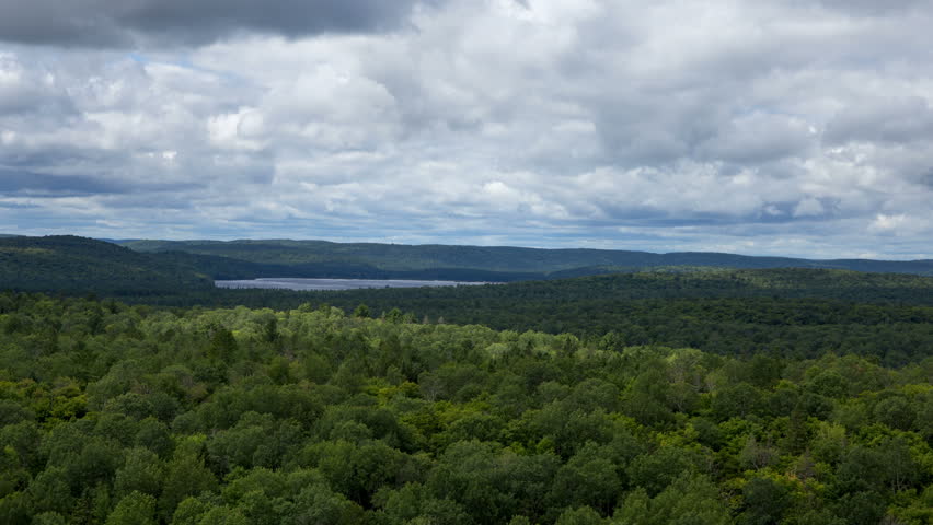 Summer forest time-lapse of shadows moving over trees on the Lookout Trail, Algonquin Provincial Park, Ontario, Canada. 