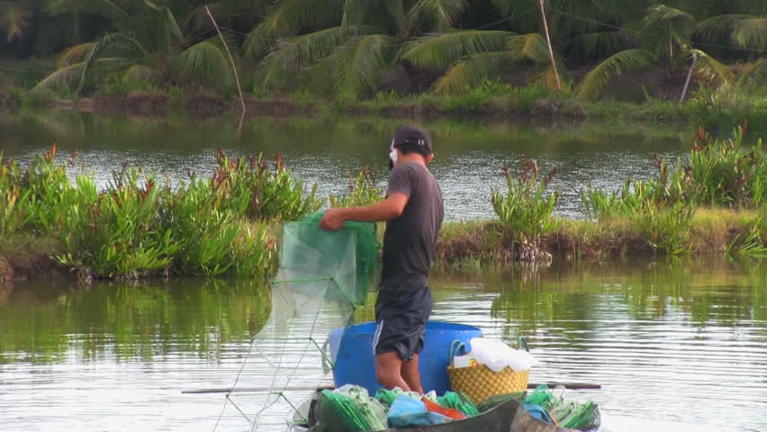 Fisherman pulling in his net
