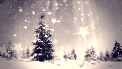 Abstract background snow falling forest  pine branches Christmas Snow slowly Snowflake Winter Snowfall huge Loop Background Merry Christmas age greeting video flashlight card growth tree shining light